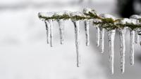 Vos vacances de Février au Petit Prince de Paris, 3 raisons d'aimer l'hiver !!!