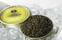 Petits bonheurs au Petit Prince de Paris... quelques grains de caviar